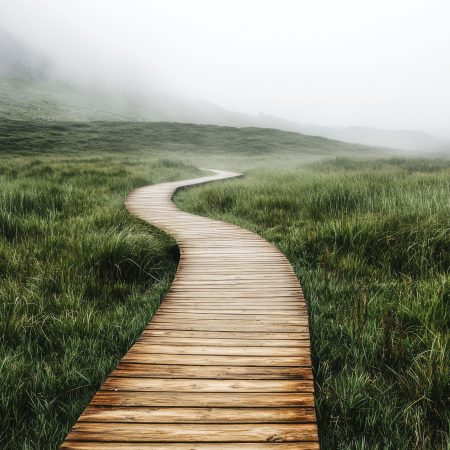 ein-kurvenreicher-holzpfad-durch-ein-nebliges-grasfeld-quadrat